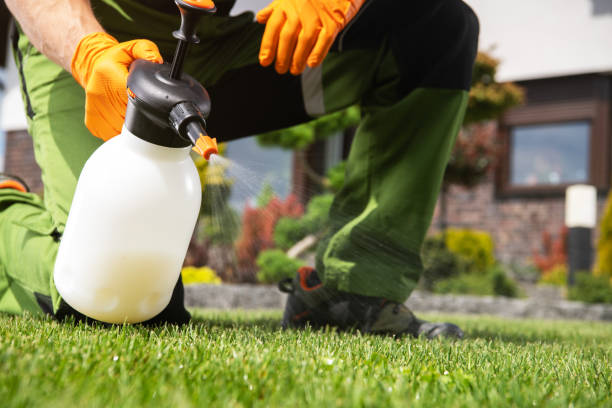 Best Rat Extermination Near Me  in Eudora, AR