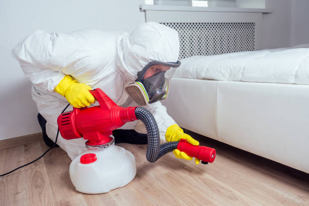 Best Flea Control Services  in Eudora, AR