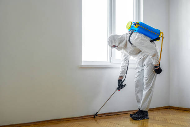 Best Pest Removal Services  in Eudora, AR