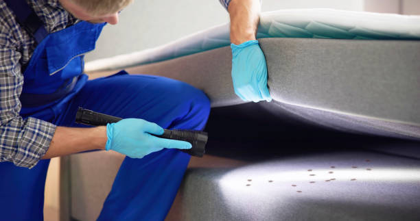 Best Cockroach Control Services  in Eudora, AR