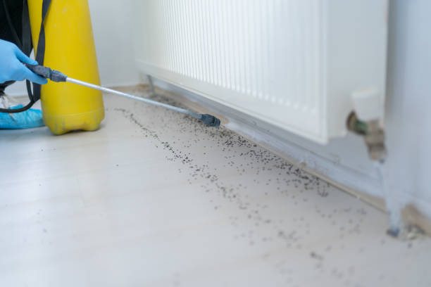 Best Pest Control Near Me  in Eudora, AR