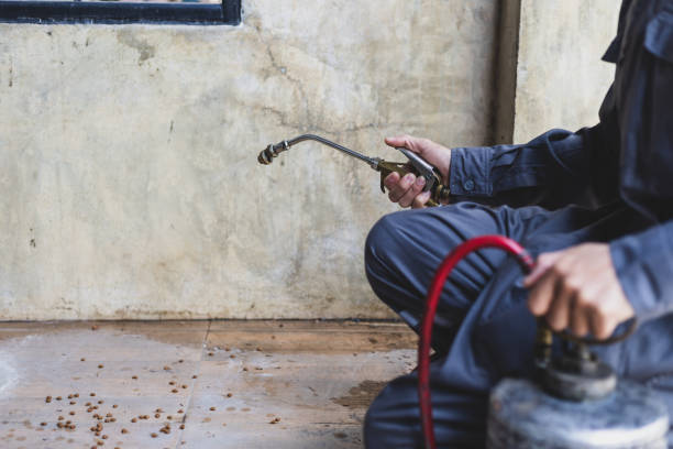 Best Termite Control Services  in Eudora, AR